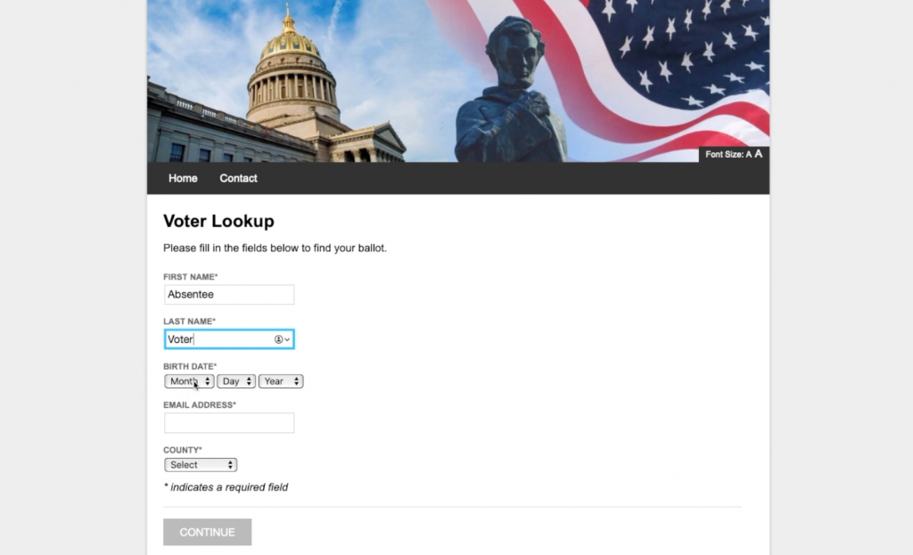 Democracy Live OmniBallot Online Remote Ballot Marking System Voter Lookup Screen